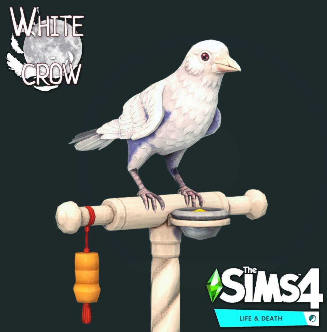 White Crows