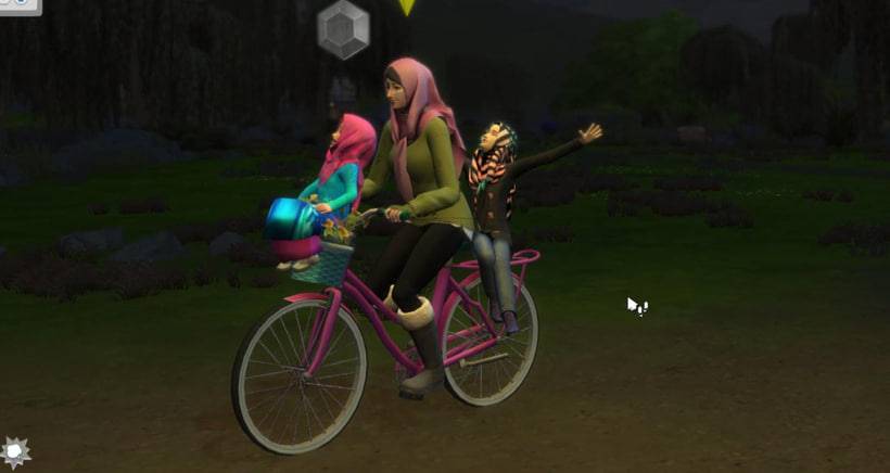 bicycle hitchiking