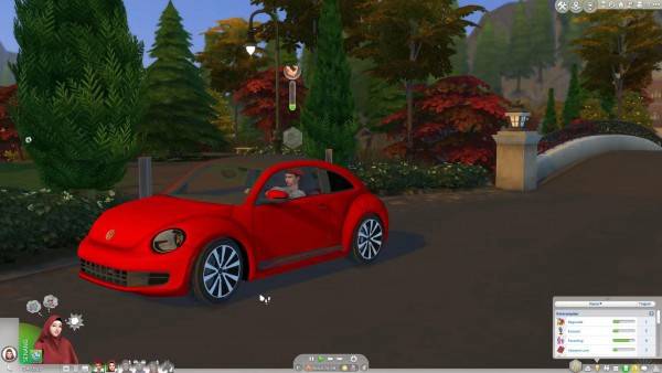 Car volkswagen beetle
