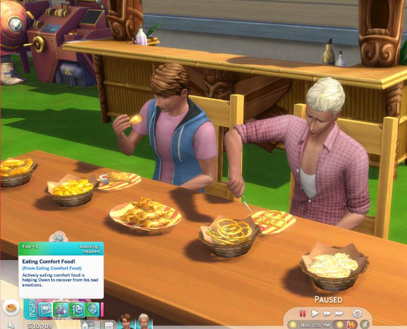 Deep Fryer and Family Diner